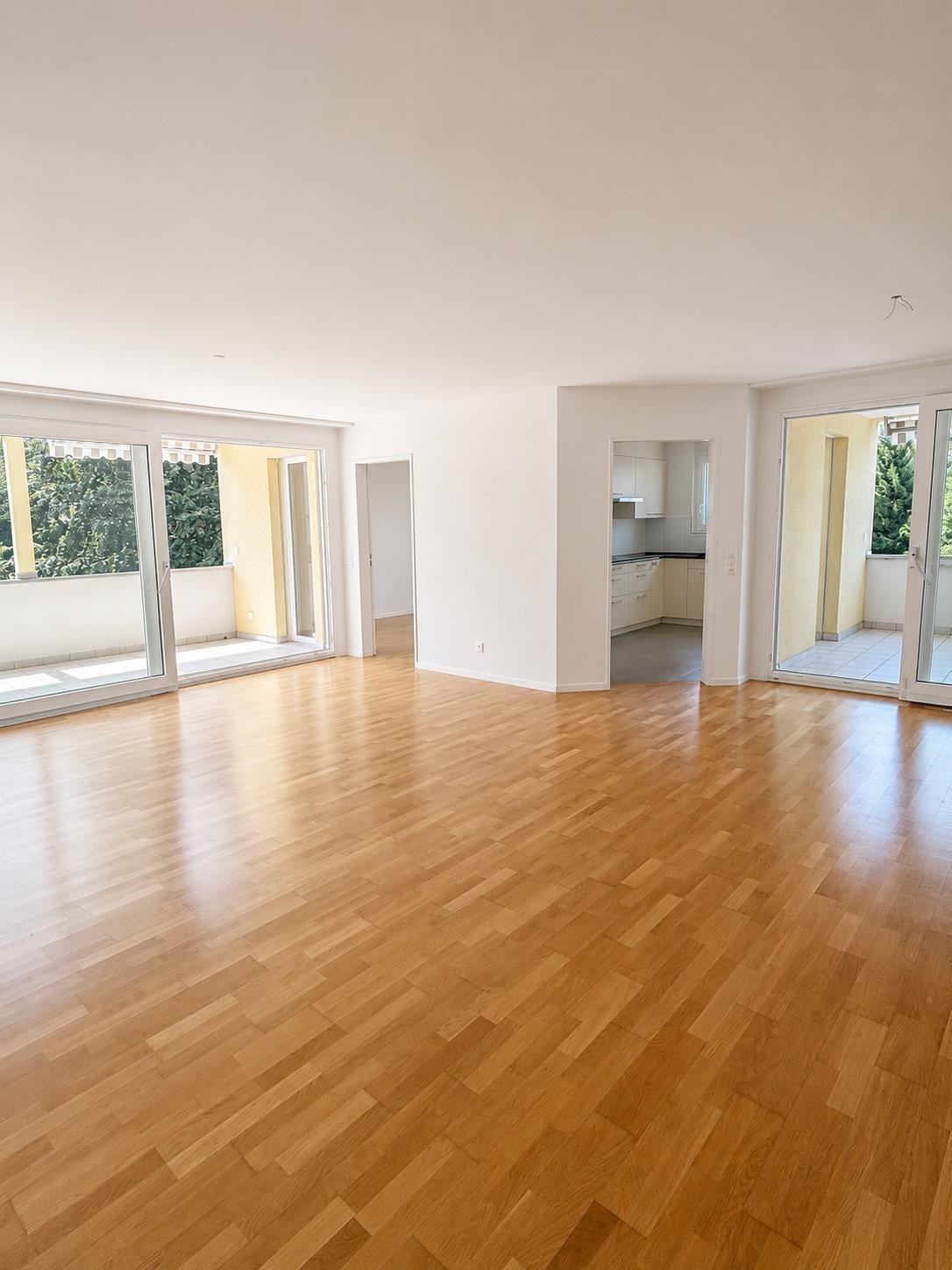 4 ½ rooms apartment