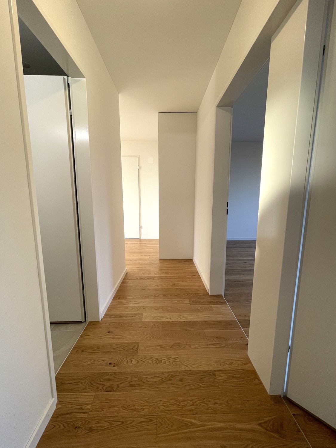 3 ½ locali appartamento in mansarda