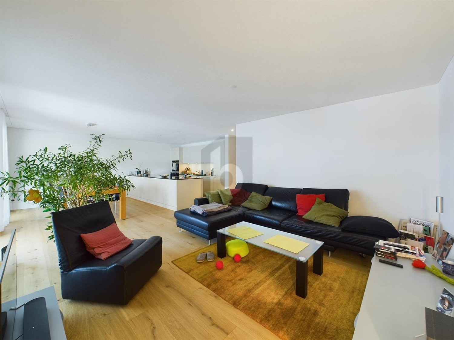 Appartement de 4 ½ pièces