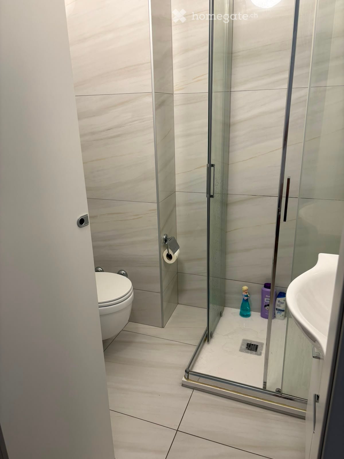 2 ½ Zimmer-Wohnung