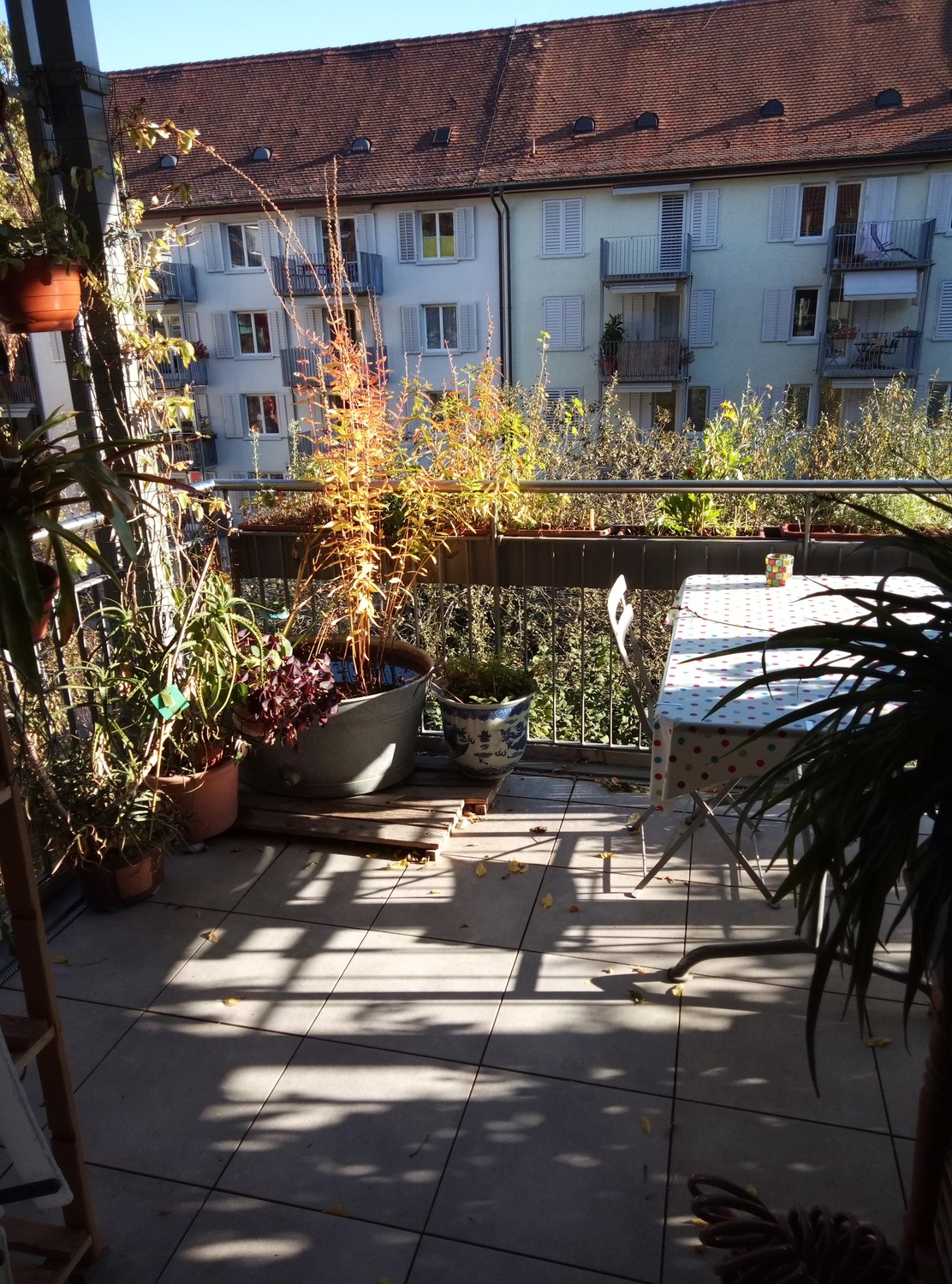 Stanza in un appartamento condiviso