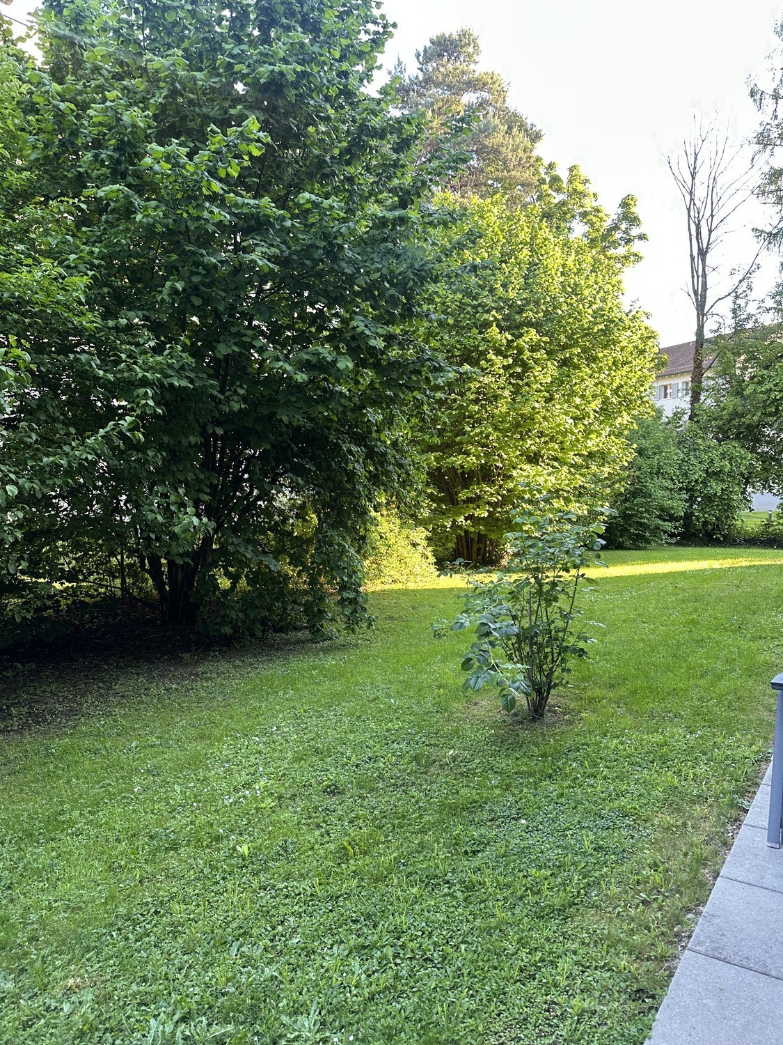 Appartamento di 2 ½ locali