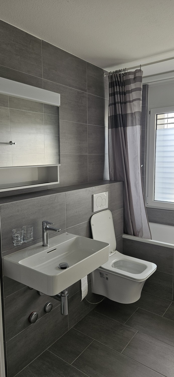 4 ½ rooms apartment