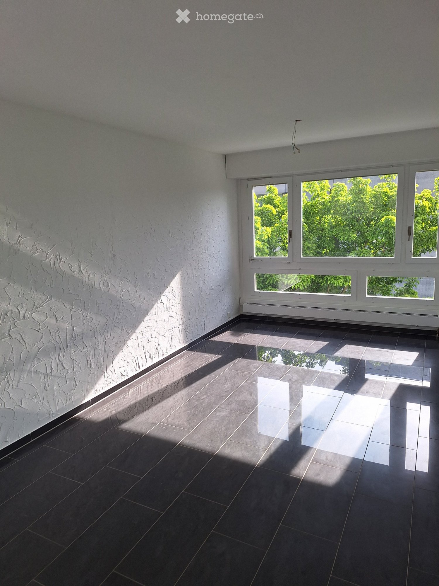 5 ½ rooms apartment