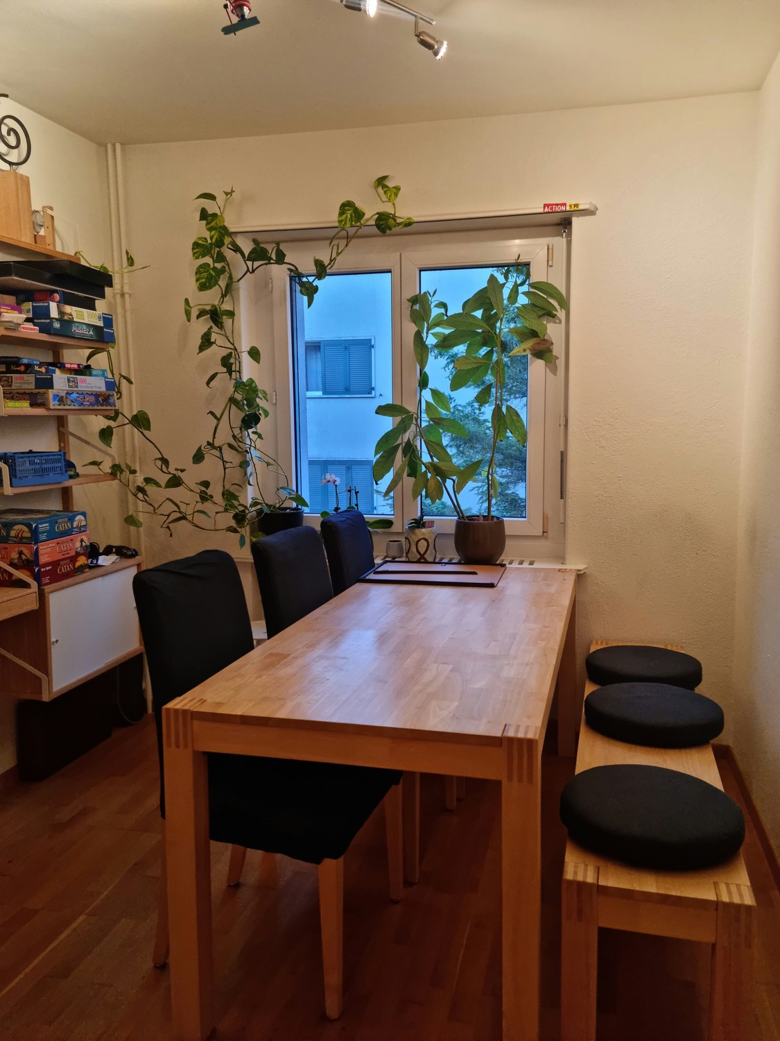 Stanza in un appartamento condiviso