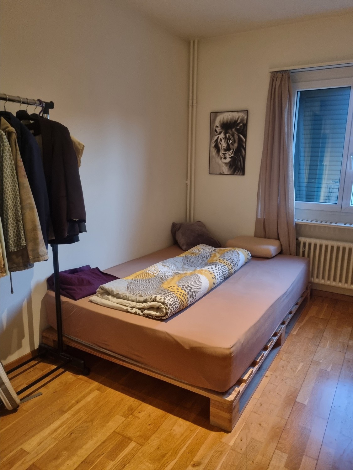 Stanza in un appartamento condiviso