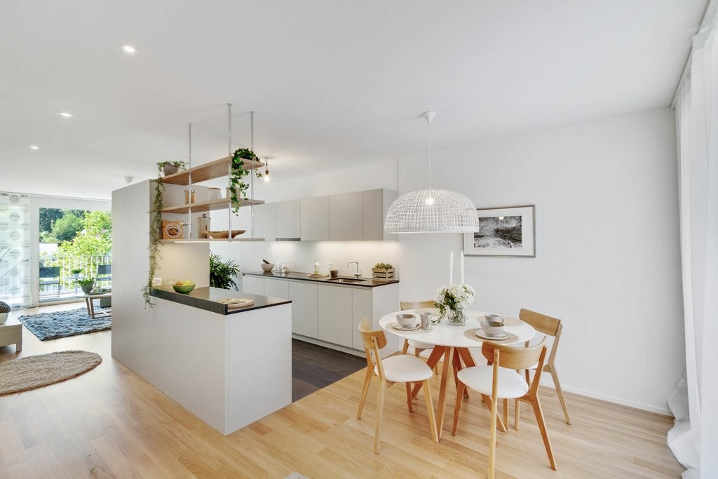 2 ½ rooms apartment