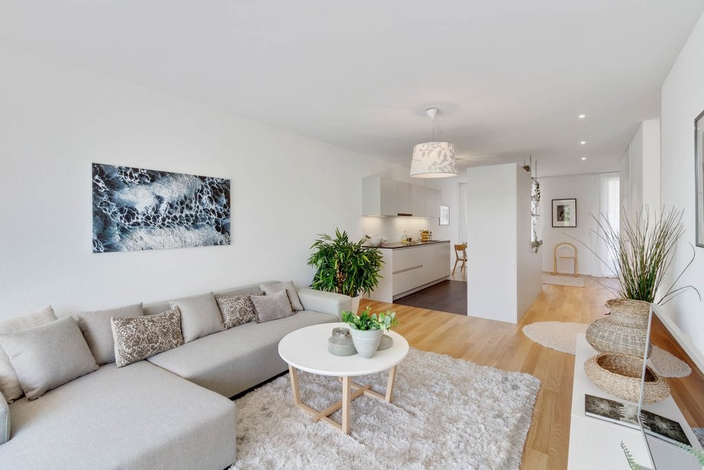 2 ½ rooms apartment