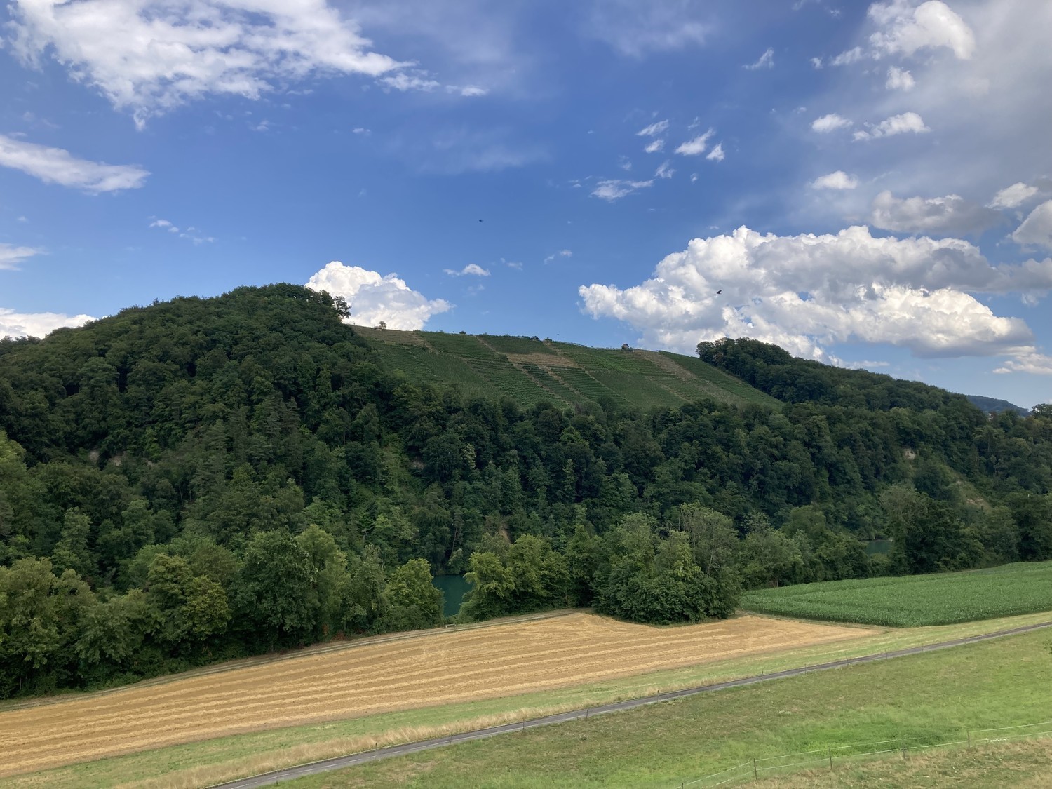 Appartamento di 4 ½ locali