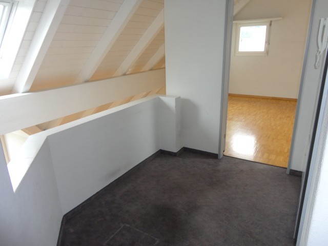 4 ½ rooms duplex