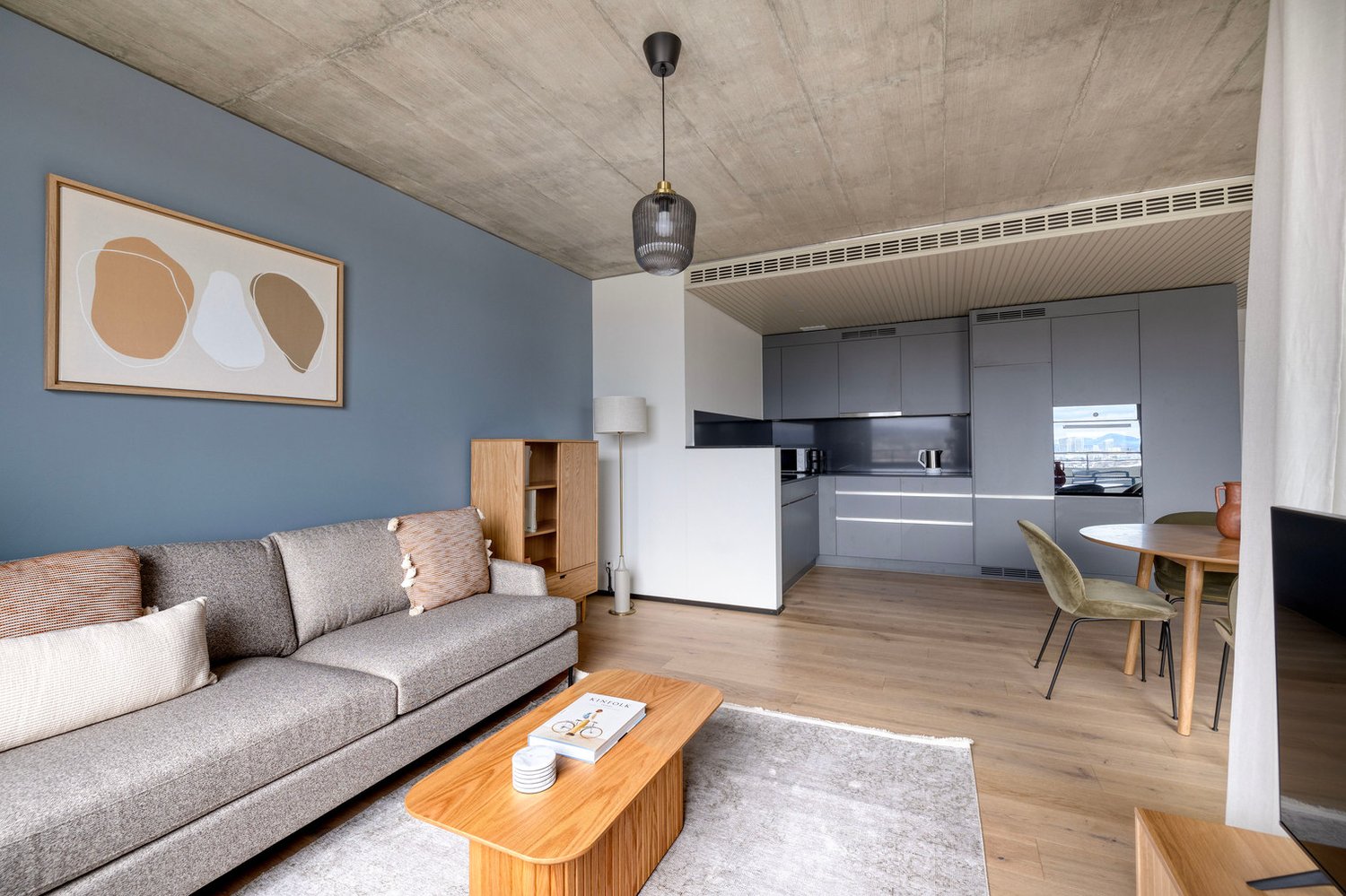 2 ½ rooms furnished flat
