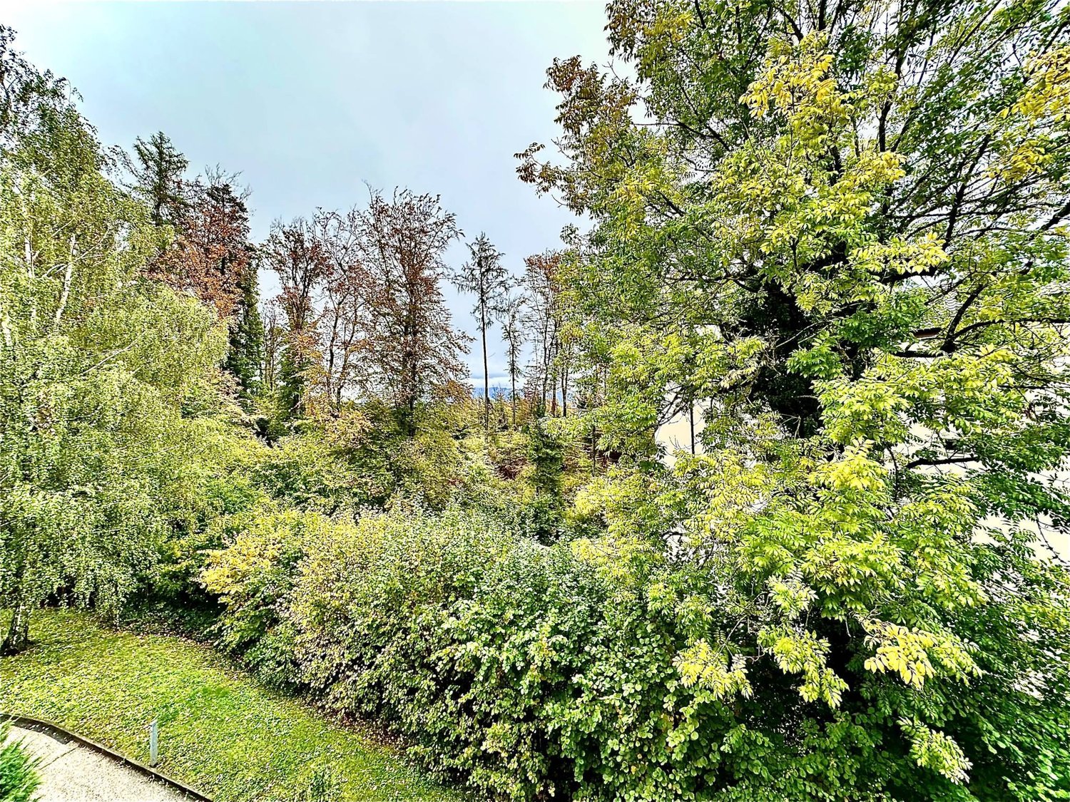 ufficio di 186m²