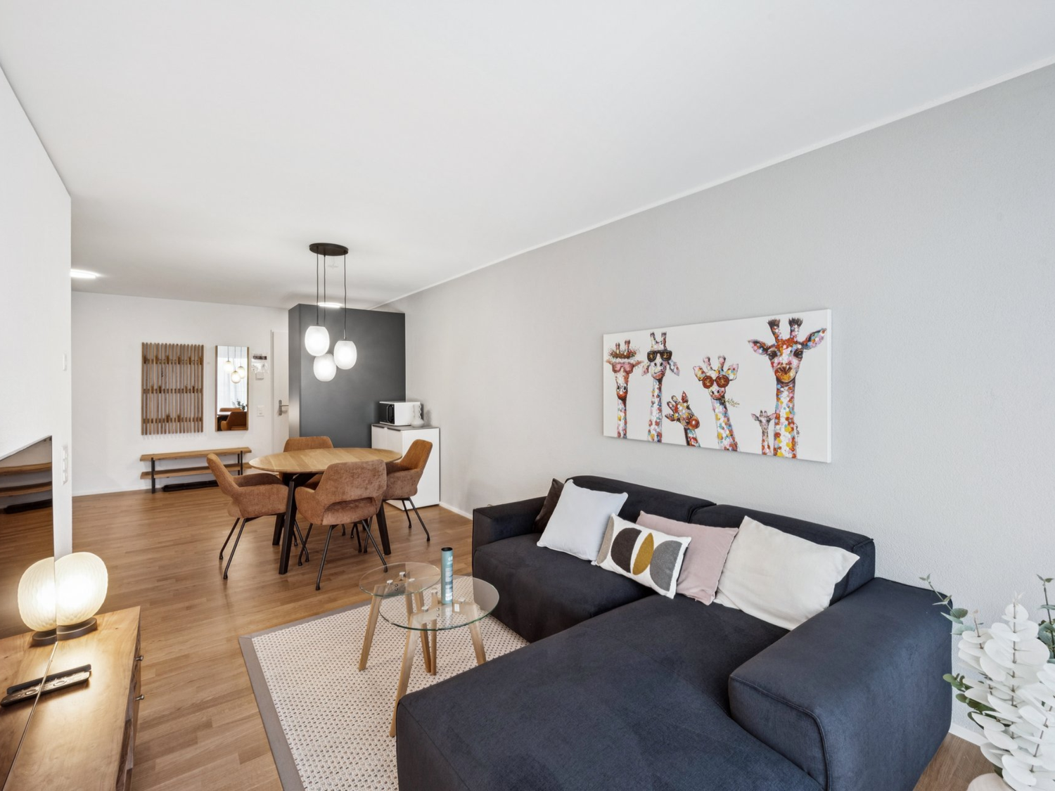 2 ½ rooms apartment