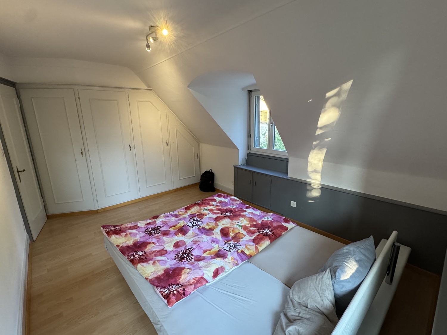 Room in a shared flat