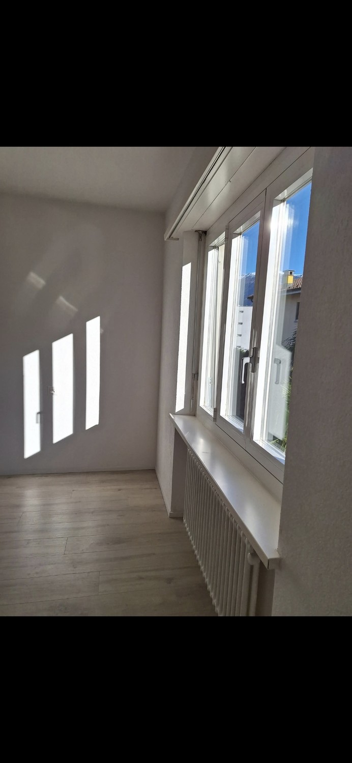 3 ½ Zimmer Wohnung