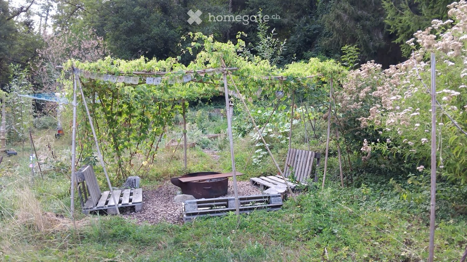 1 Zimmer Einzelzimmer