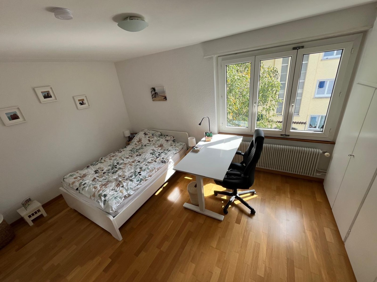 Room in a shared flat