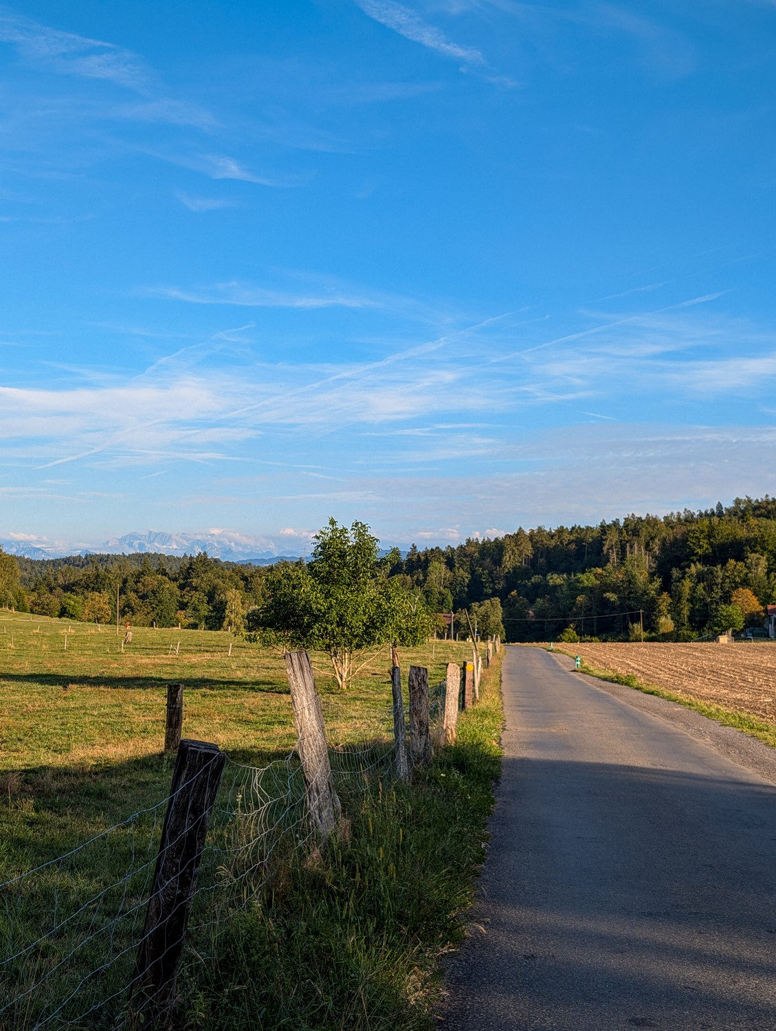 Appartamento di 1 ½ locali