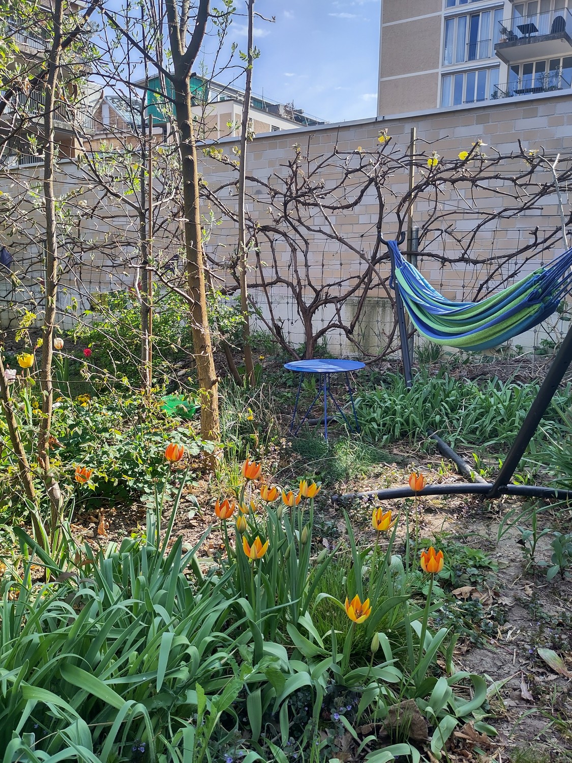 Casa singola di 2 ½ locali