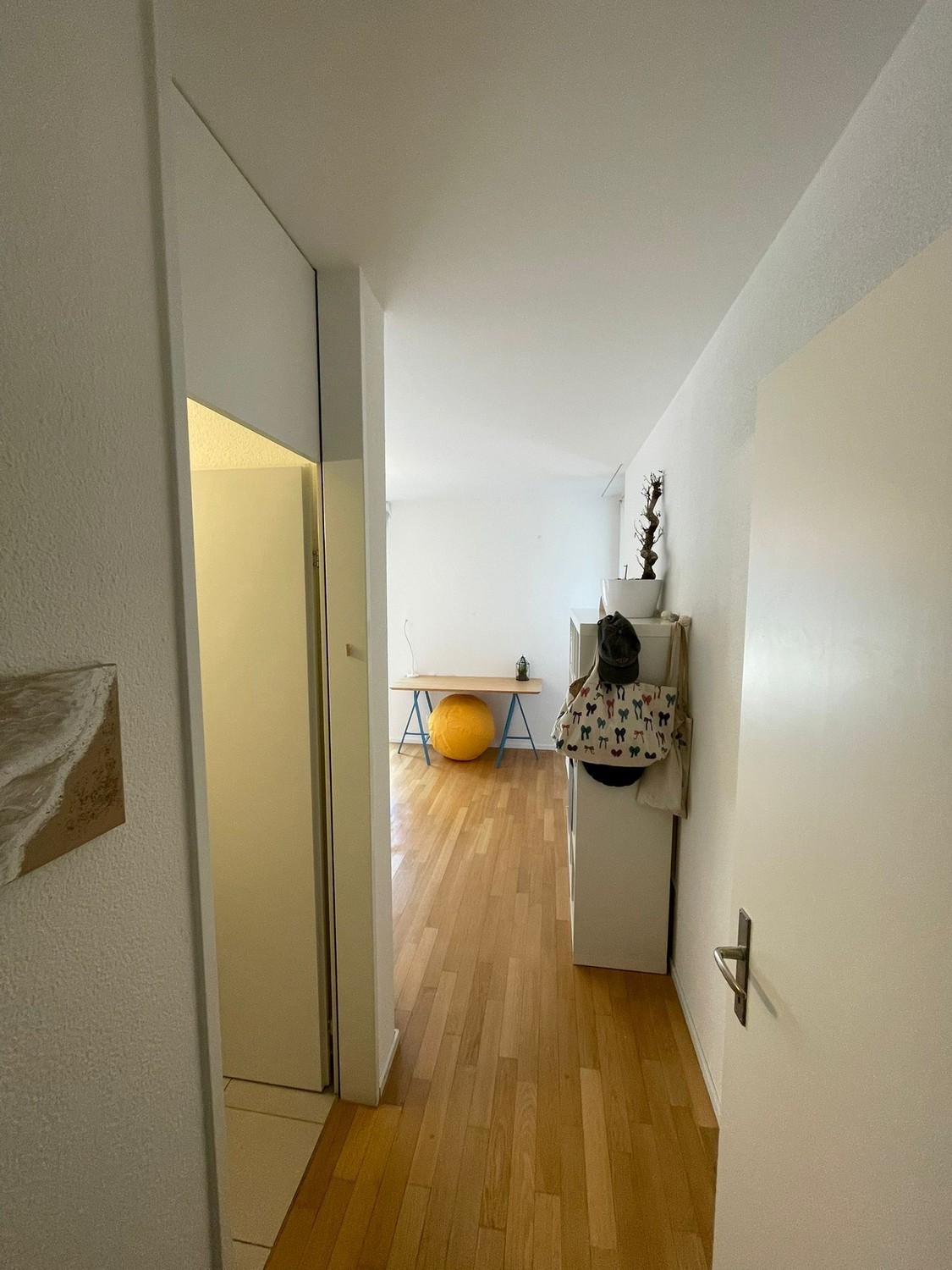 Room in a shared flat