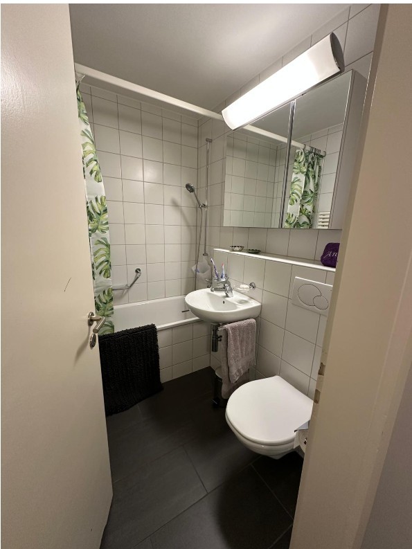 1 room apartment