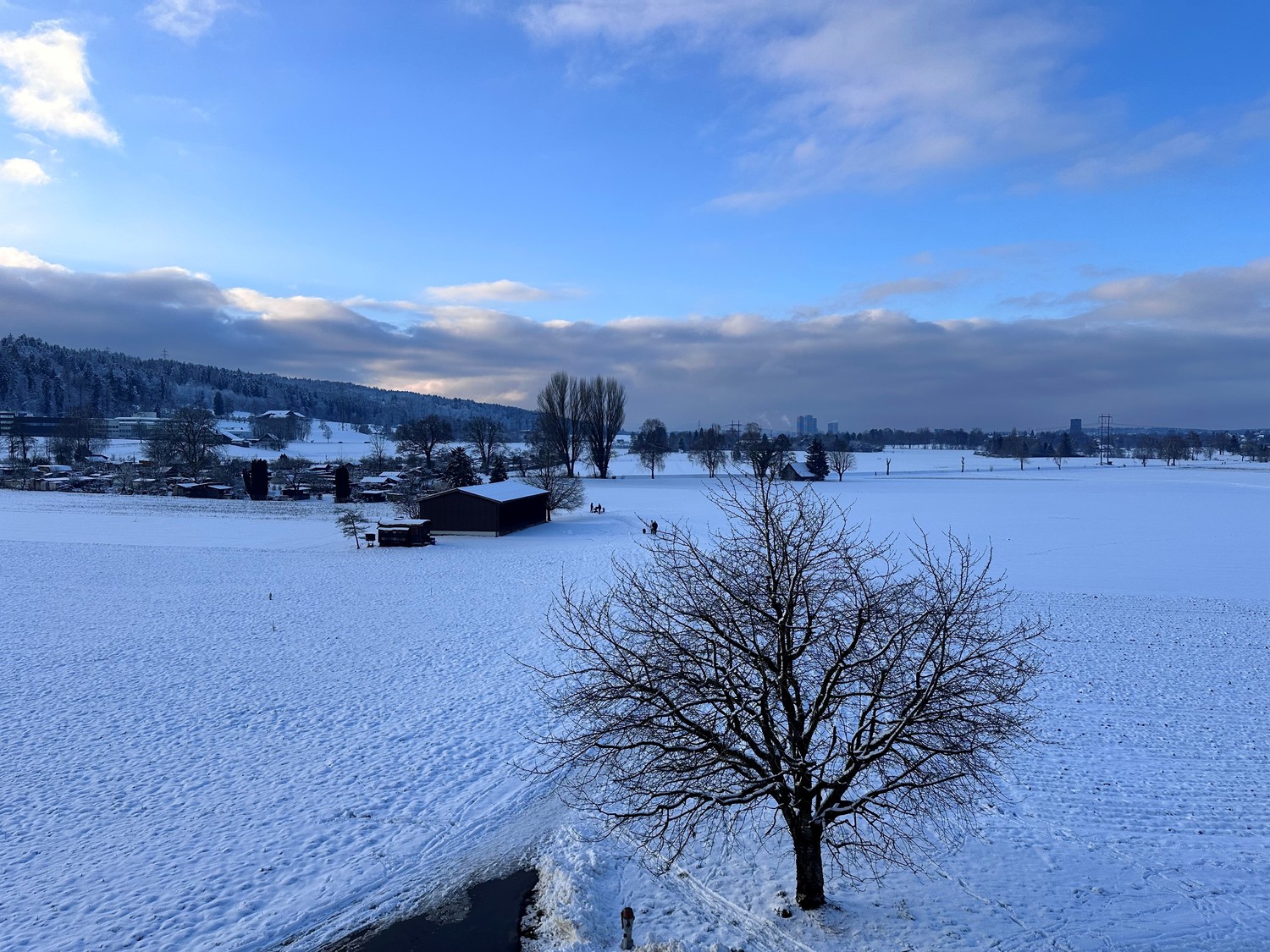 Appartamento di 3 ½ locali