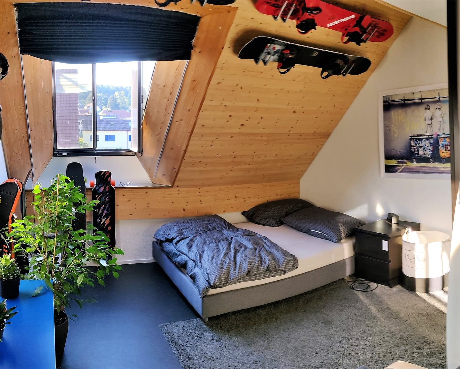 Room in a shared flat