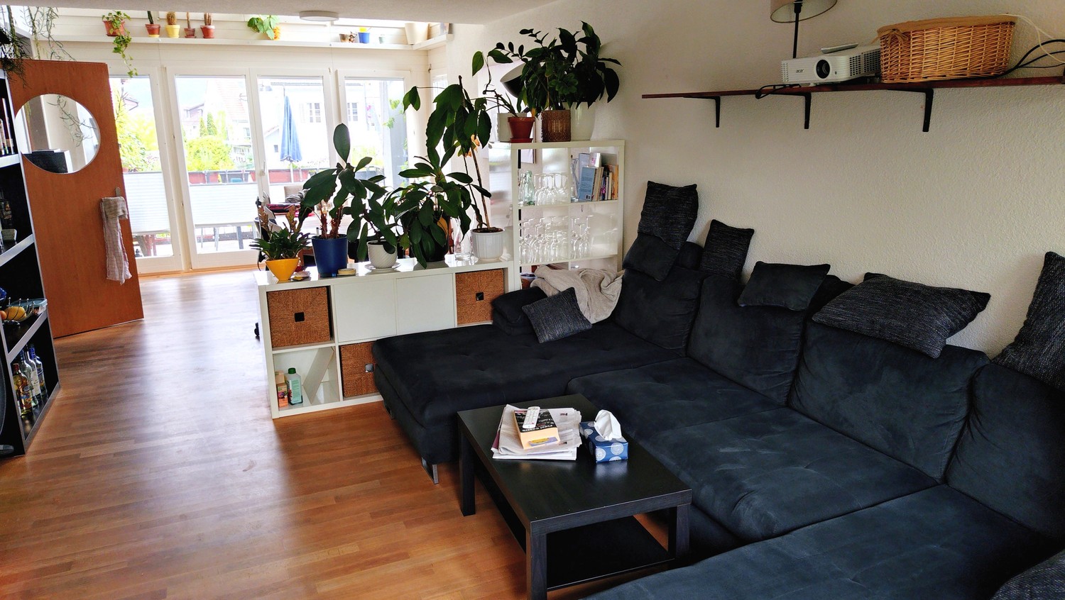 Room in a shared flat