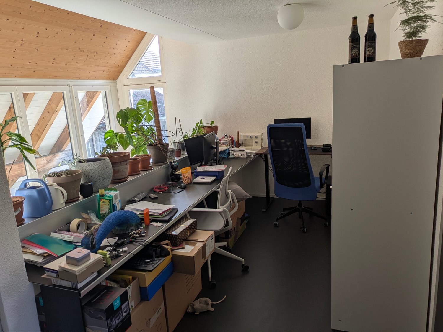 Room in a shared flat