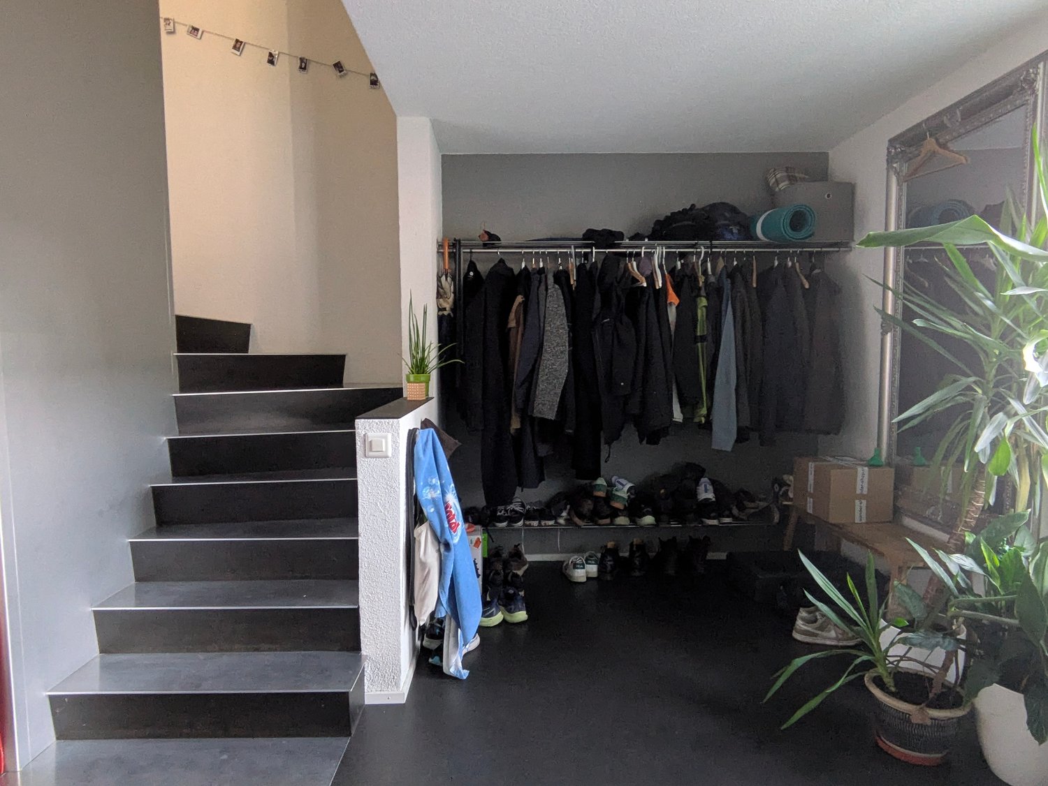 Room in a shared flat
