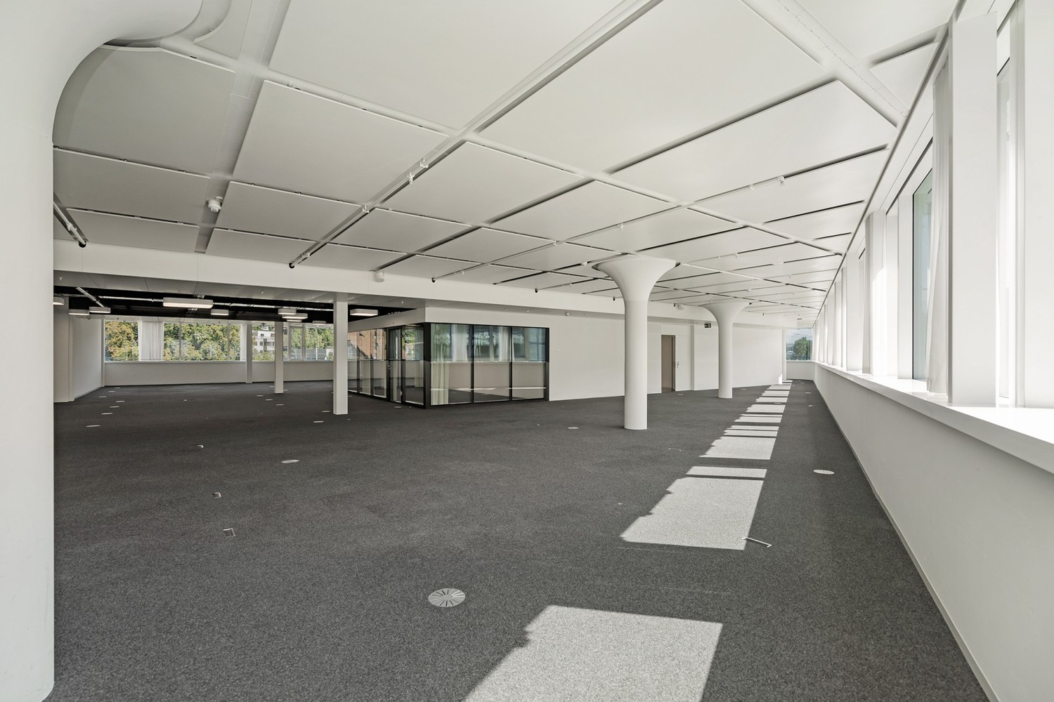 705m² office