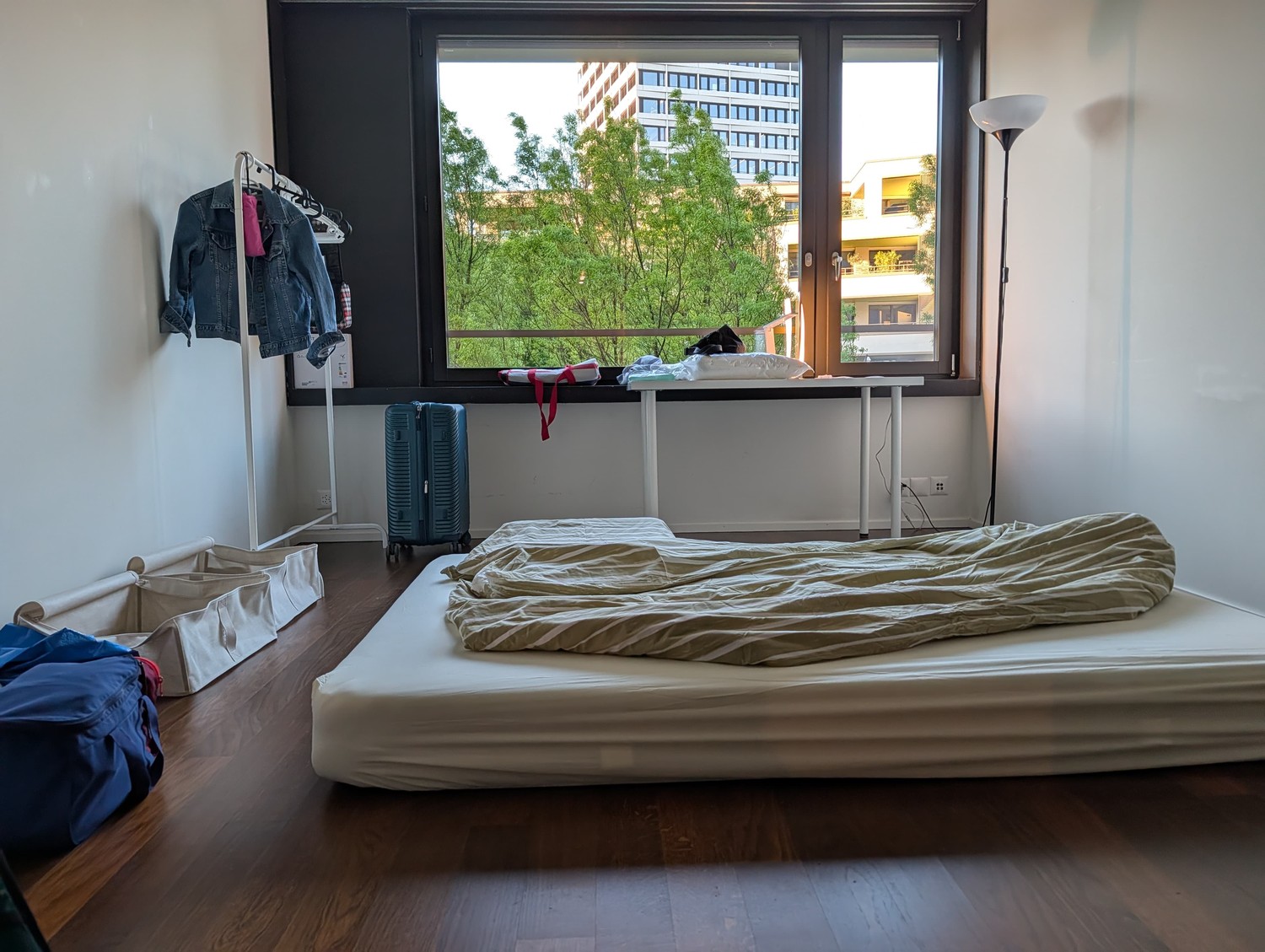 Room in a shared flat