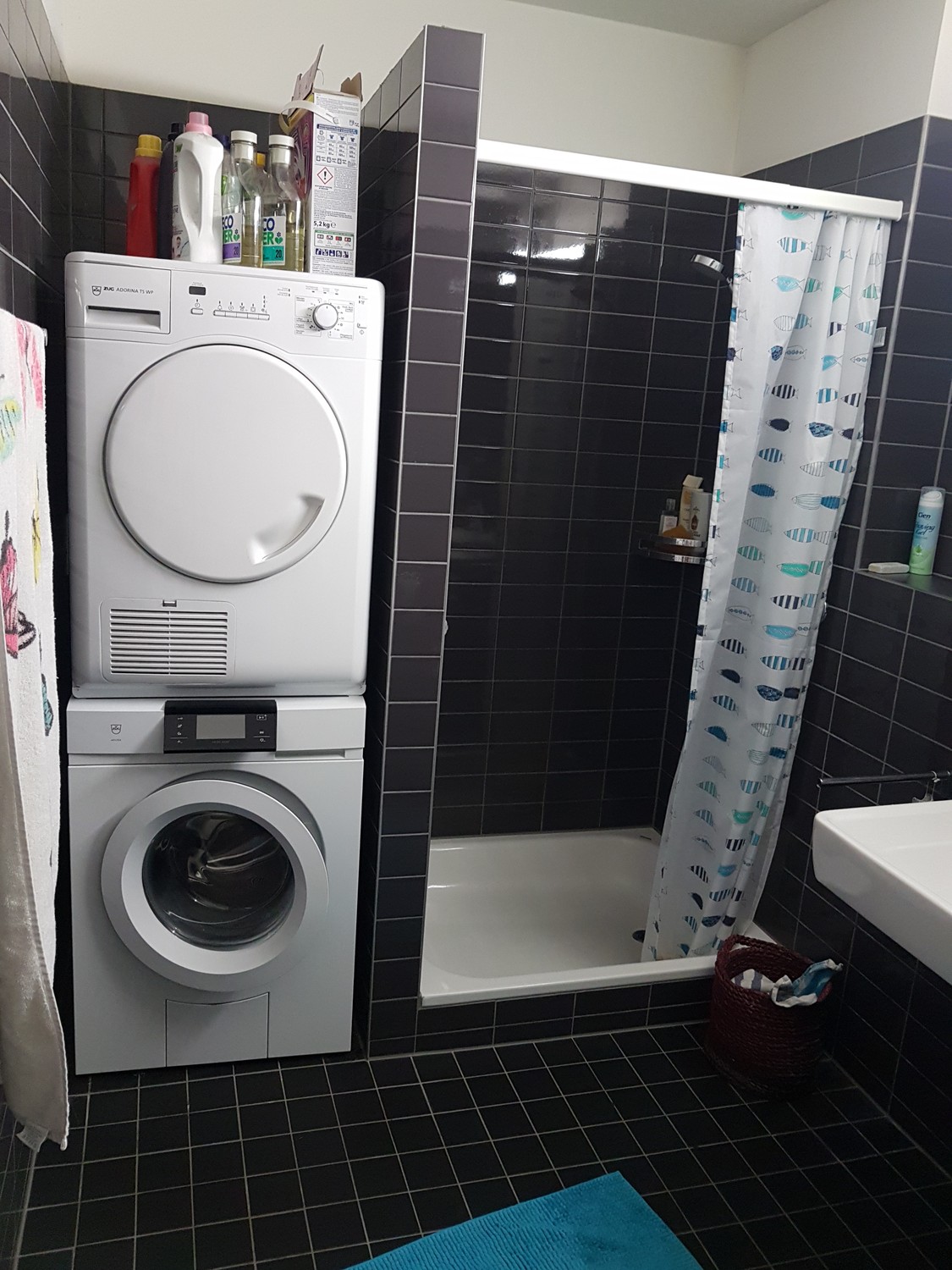Room in a shared flat