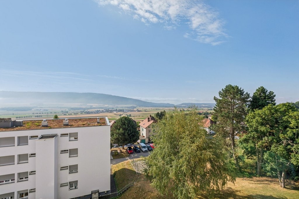 appartamento di 3 locali
