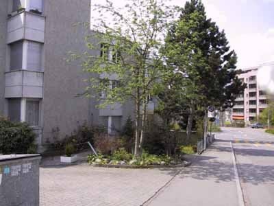 Appartamento di 4 ½ locali