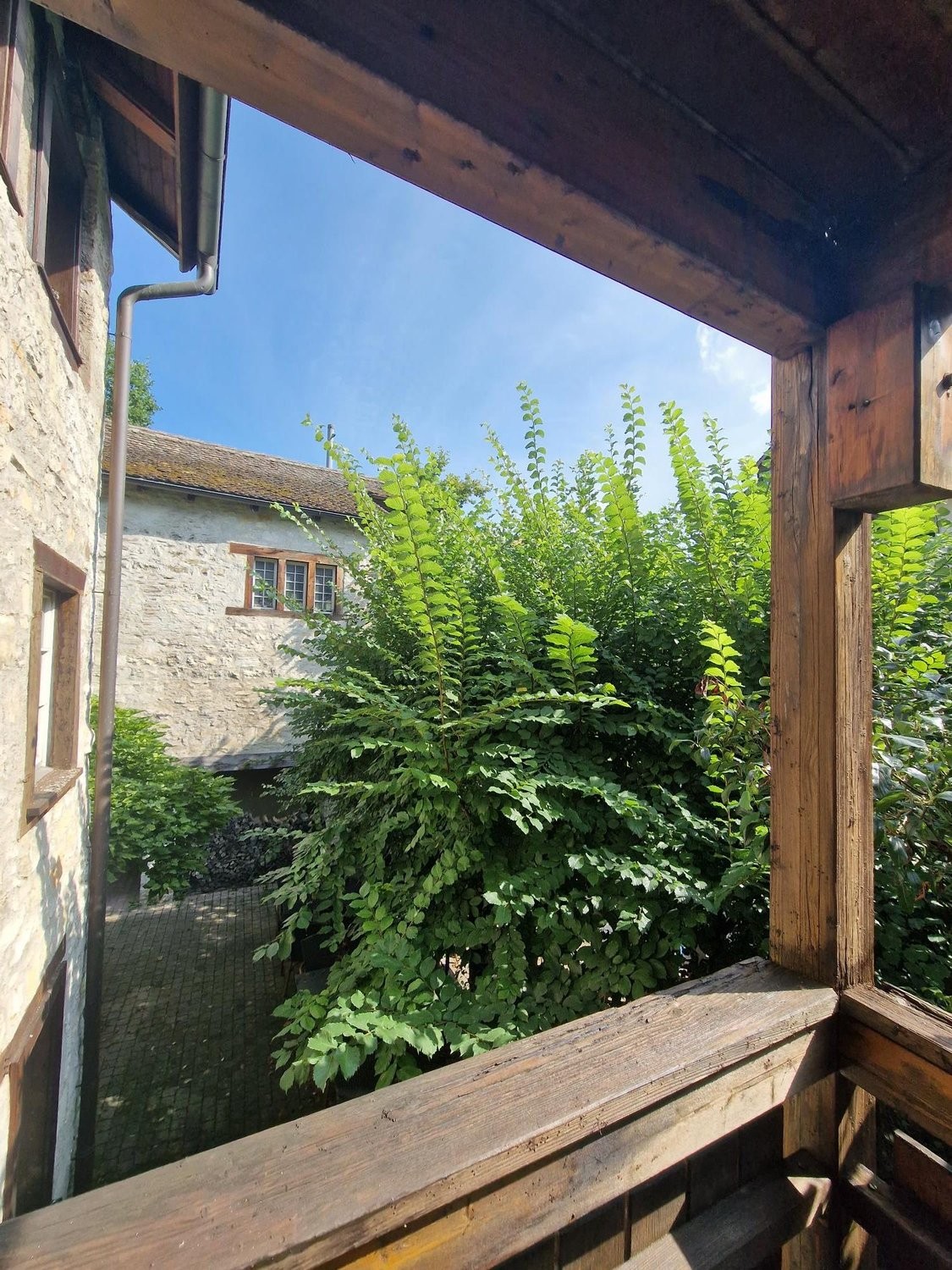 Appartement d'une pièce