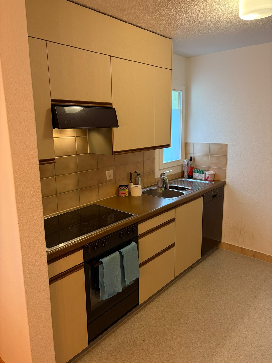 Appartamento di 3 ½ locali