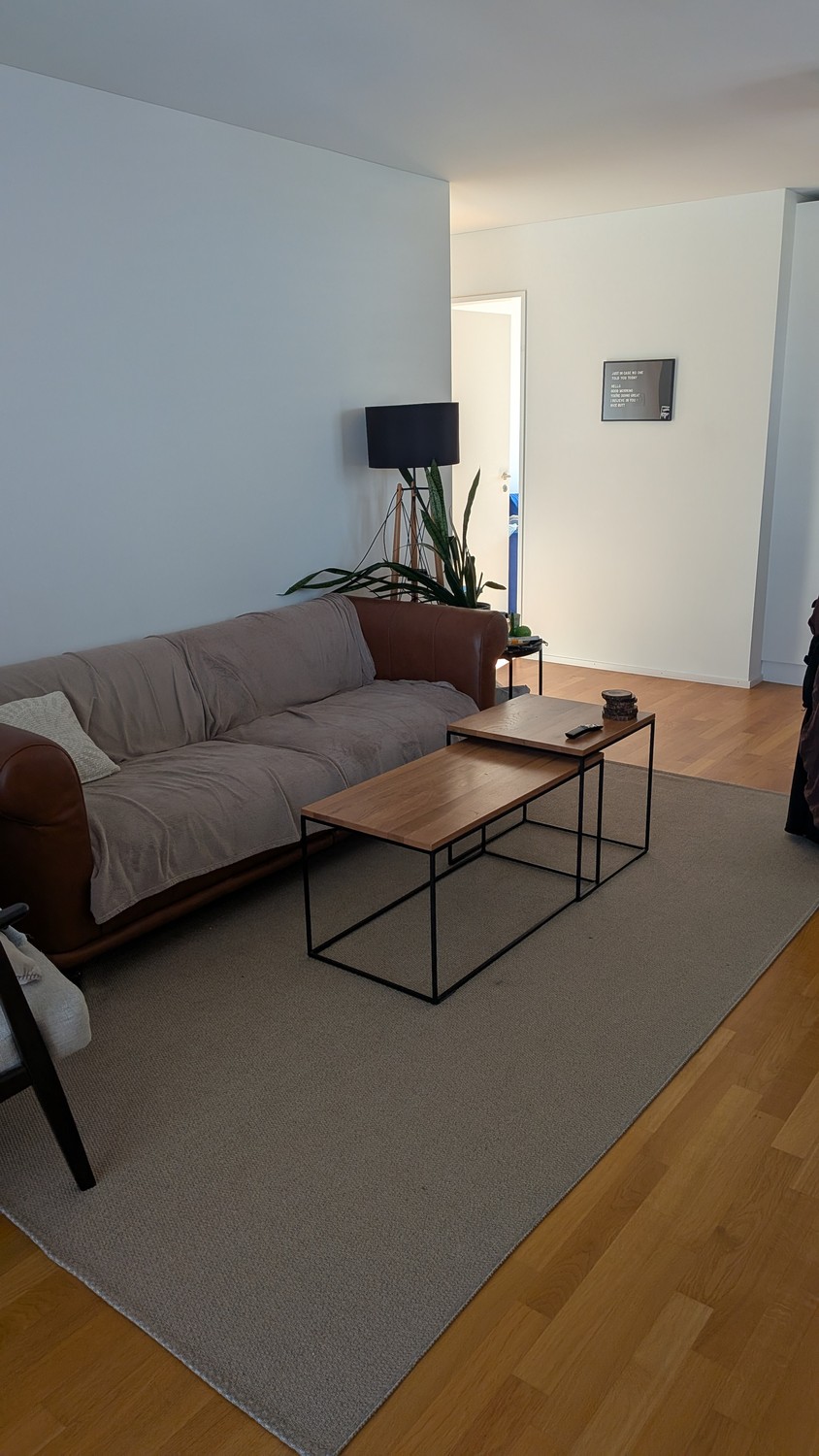 Appartamento di 3 ½ locali