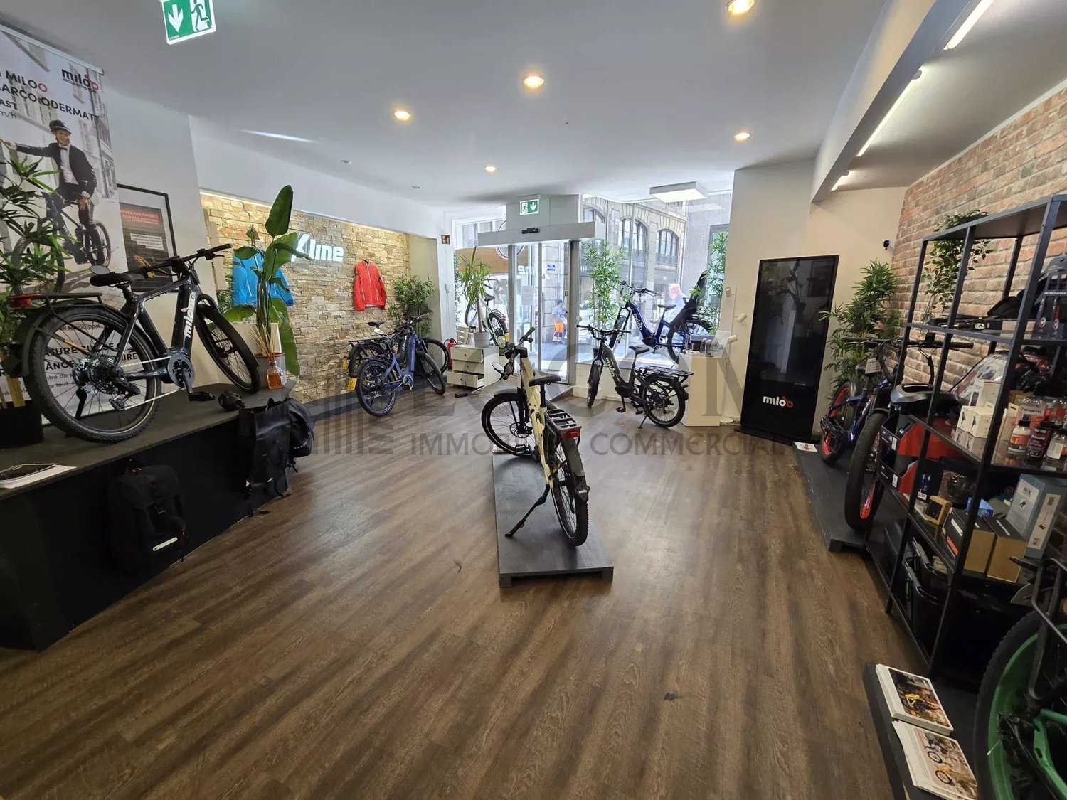 Shop