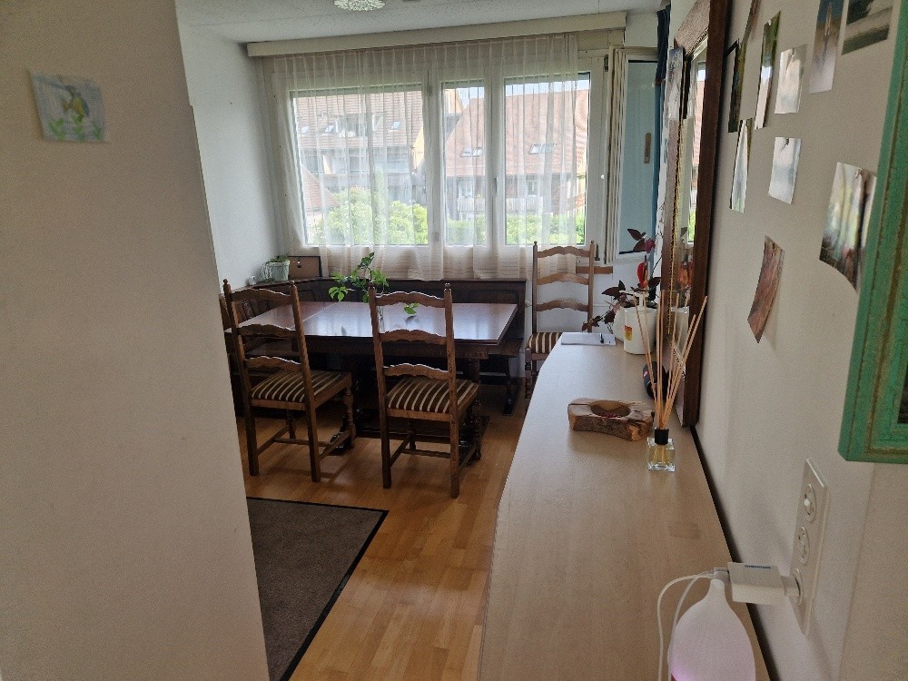 Appartamento di 3 ½ locali