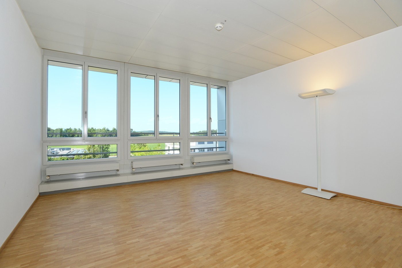 24-350m² office