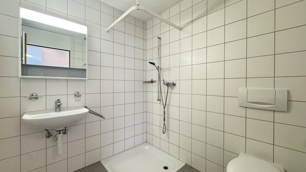 5 ½ rooms apartment