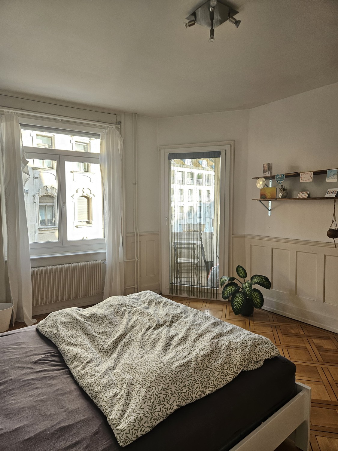 Room in a shared flat