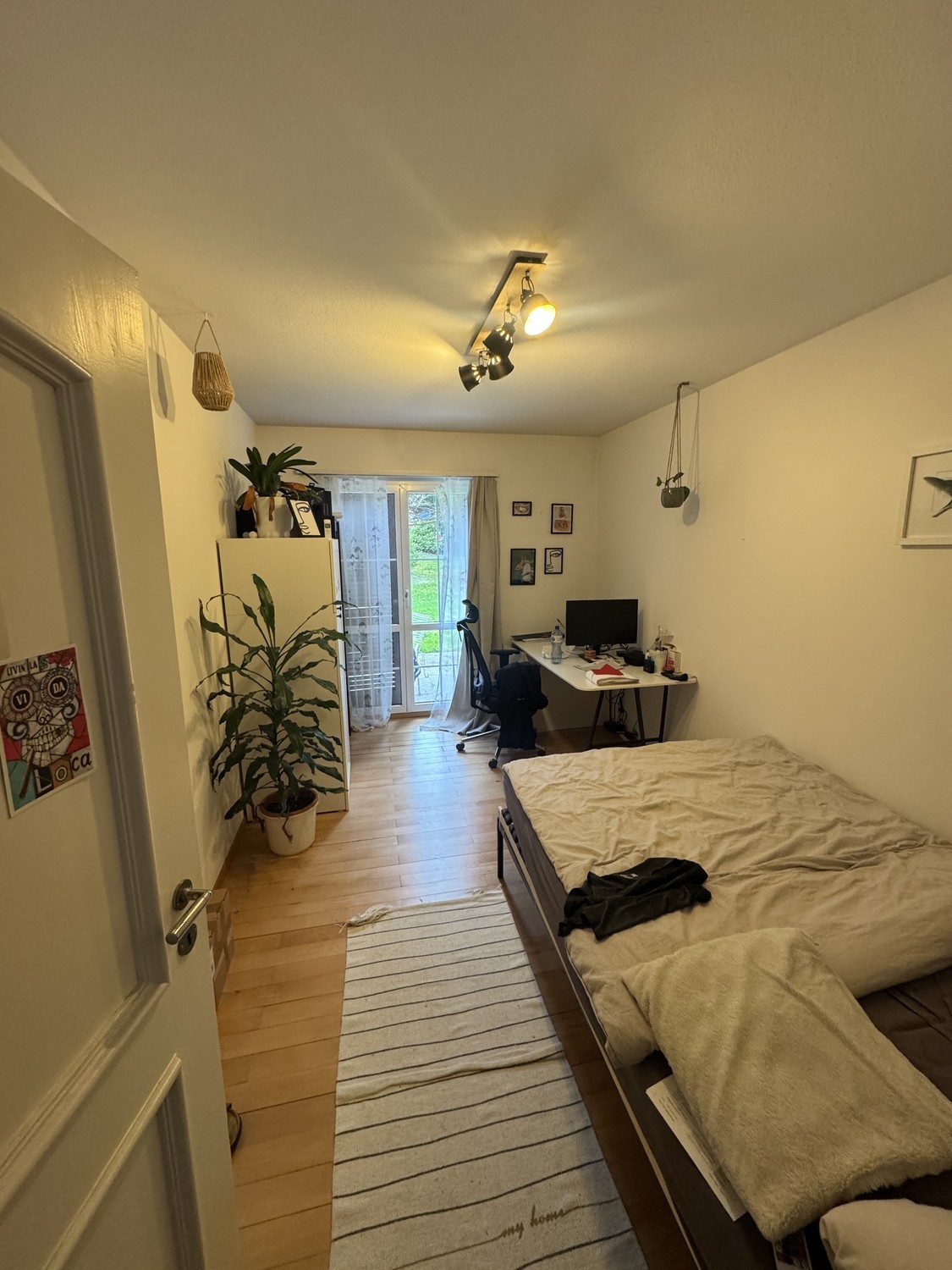 Room in a shared flat