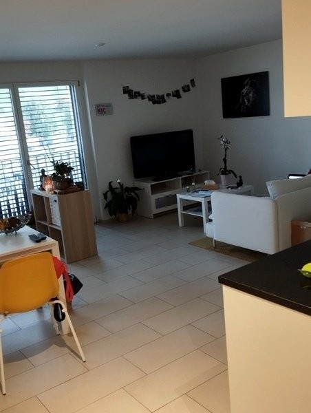 appartamento arredato di 2 ½ locali