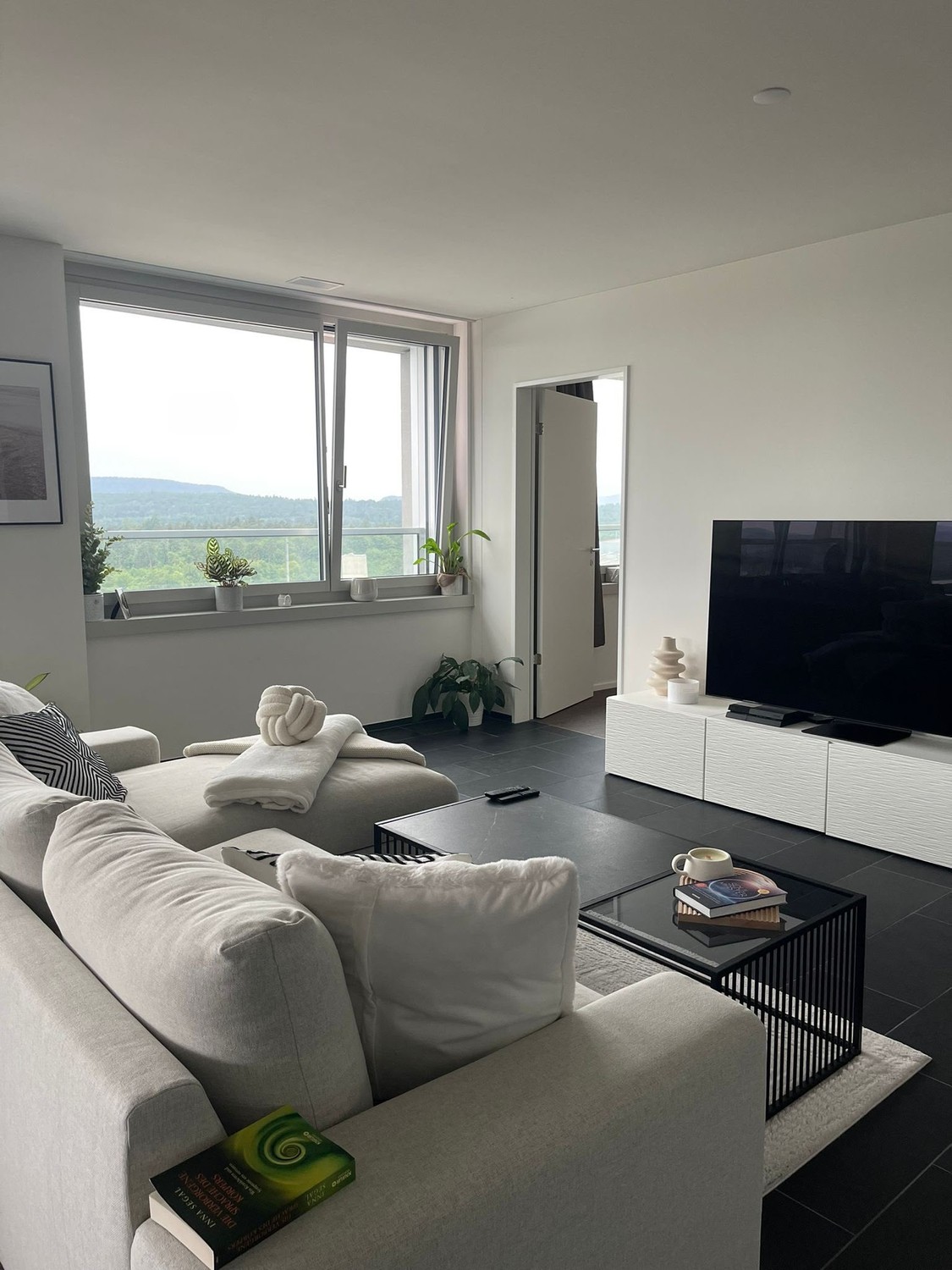 Appartamento di 3 ½ locali