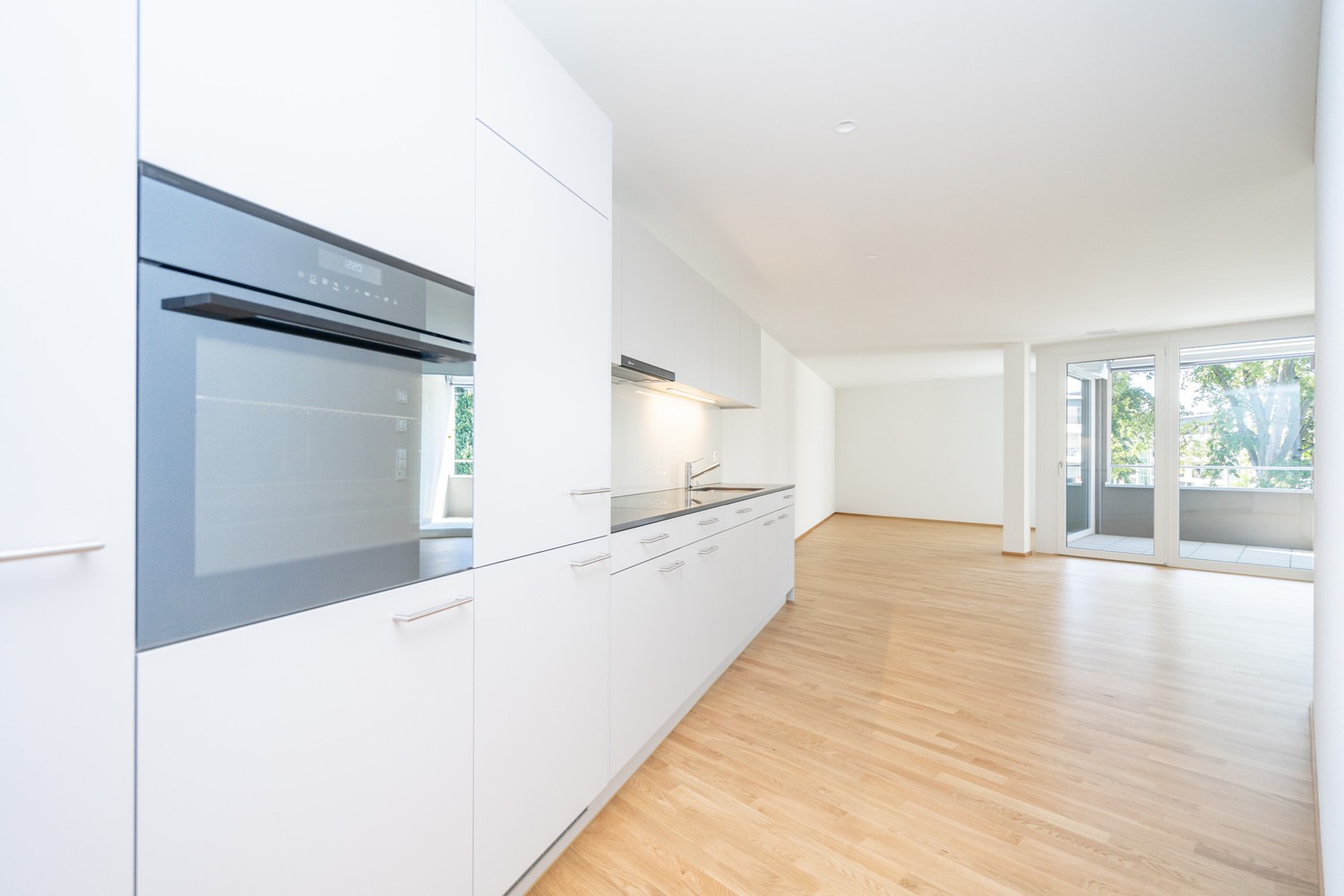 2 ½ rooms apartment
