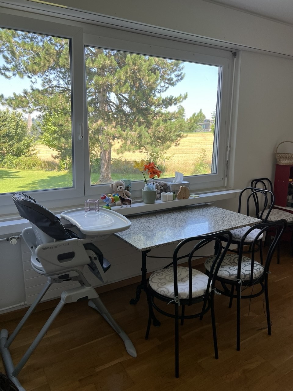 4 ½ rooms apartment