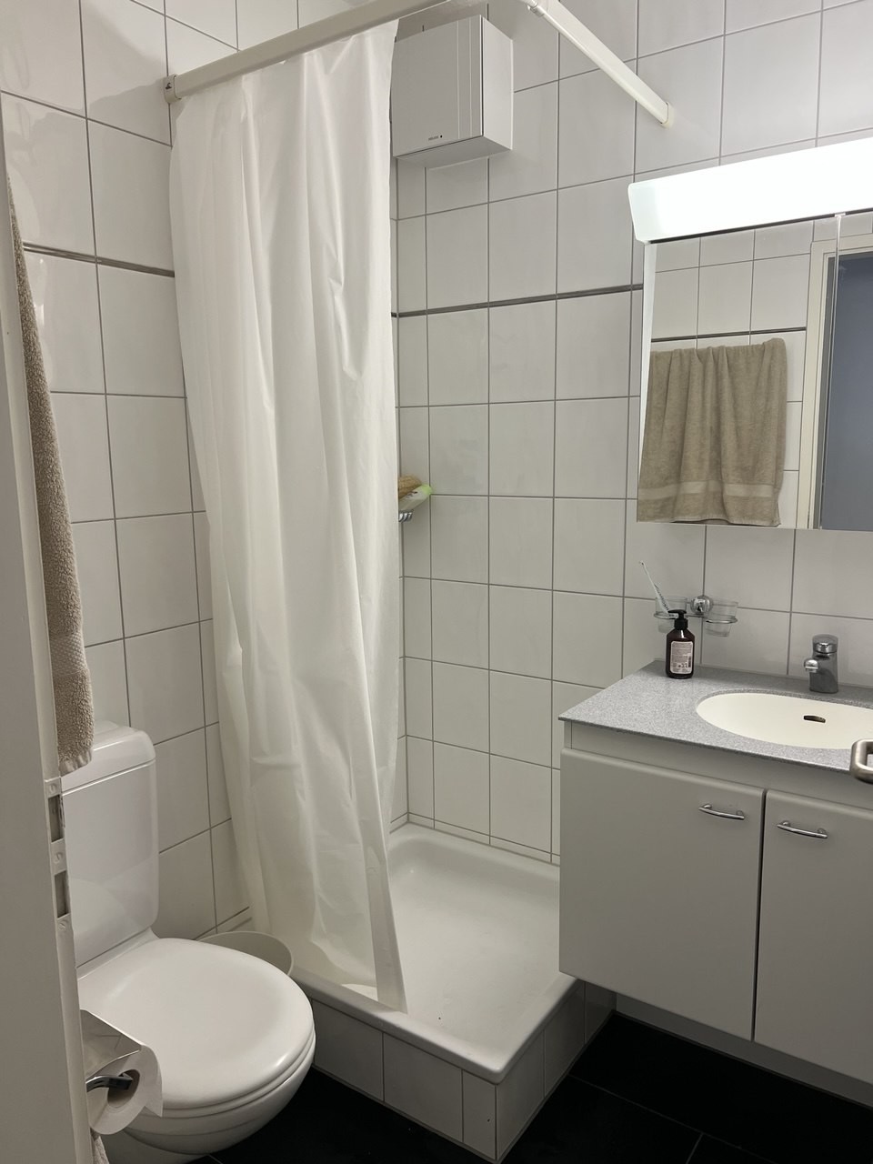 4 ½ rooms apartment