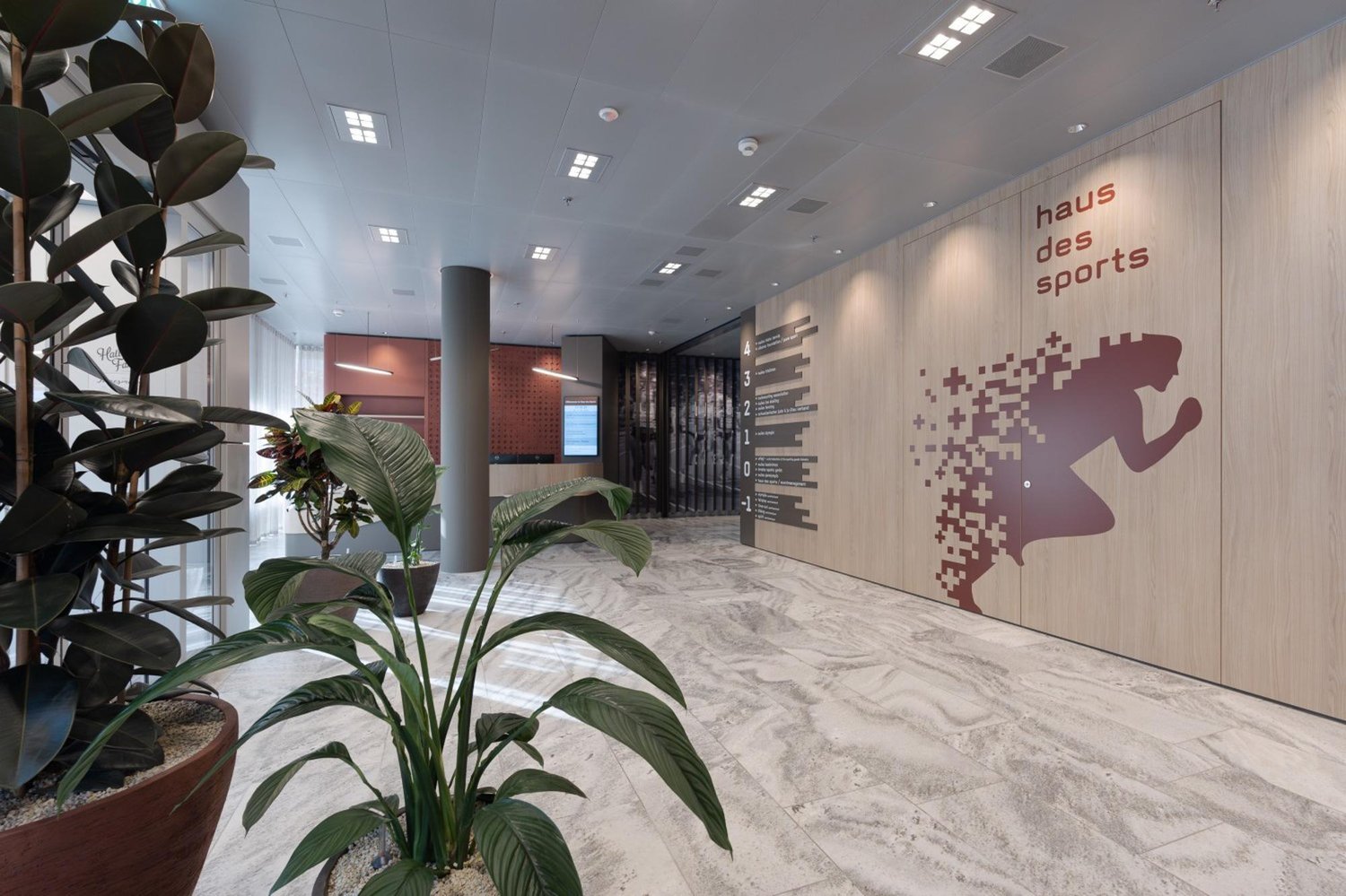 155m² office